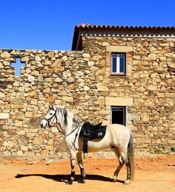 Monforte da Beira Couto Dos Pardinhos 빌라 외부 사진