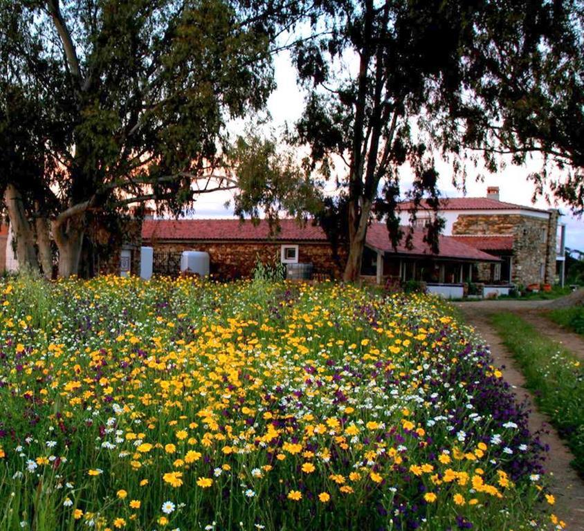 Monforte da Beira Couto Dos Pardinhos 빌라 외부 사진