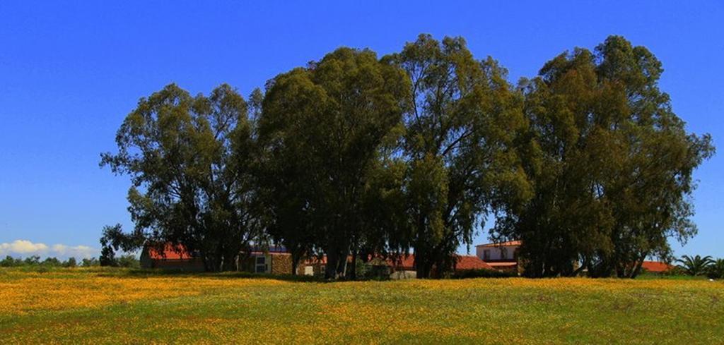 Monforte da Beira Couto Dos Pardinhos 빌라 외부 사진