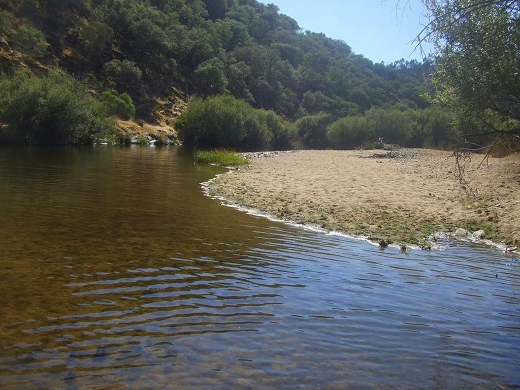 Monforte da Beira Couto Dos Pardinhos 빌라 외부 사진